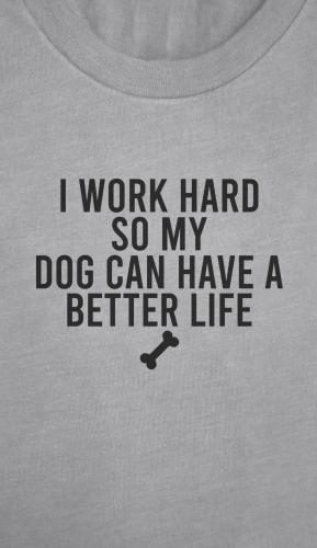 FB_IMG_1744378527448