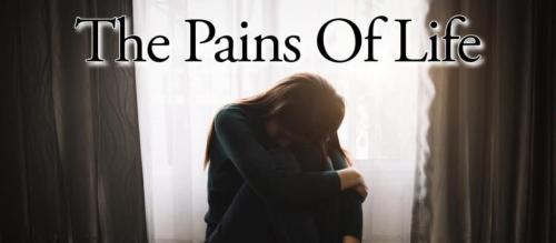 cb18961d-db08-4476-a065-950c5a13411f