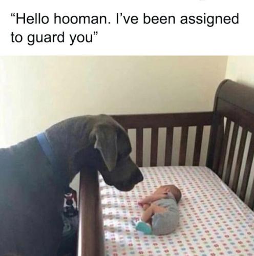 3a5dcc4fe26dfa58fc1cece0a15c2694