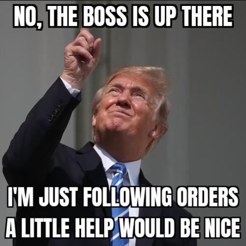 ZomboMeme 11042025111431