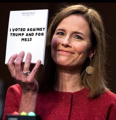 9a8c595a1483362a5680e84f7bbe3bf2_1024