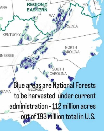 FB_IMG_1744496238652