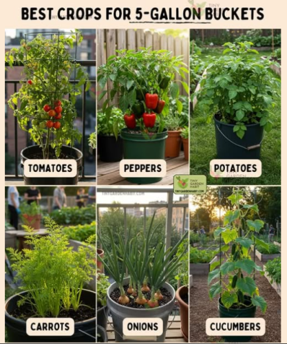 Screenshot 2025-03-26 164603