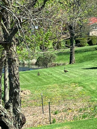 AA69E919-9C71-4485-8B25-48D0E2A48C8E