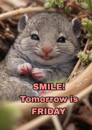 FB_IMG_1743698115796