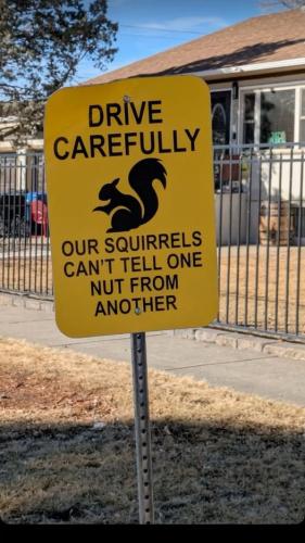 490128487_1062773902396324_6117389632365070384_n