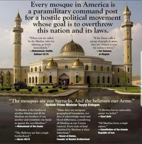 accb9754-8b1d-4323-b868-9071aab22284