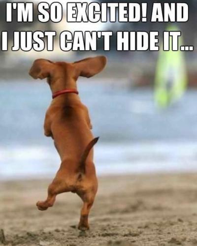 FB_IMG_1744495643616