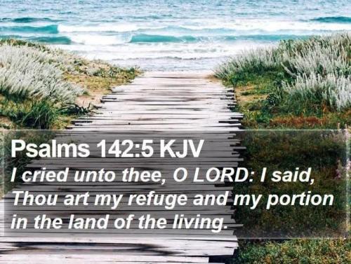 c312d7a0-d38a-4080-a412-b43ade14914c