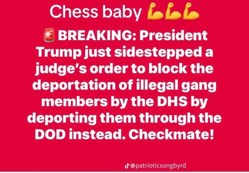 E82FF525-3026-434E-AF3F-57395BC60CD2