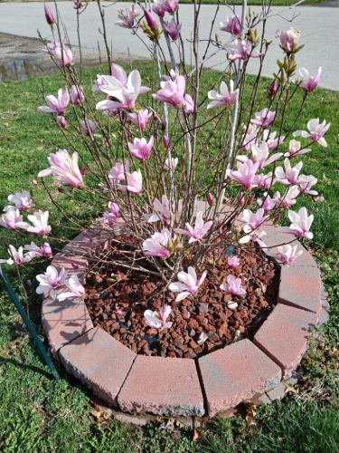 1265ee7b-8658-4c91-85a1-c2884ed9bc1e