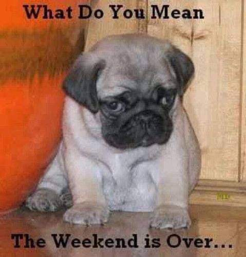 FB_IMG_1744053328419