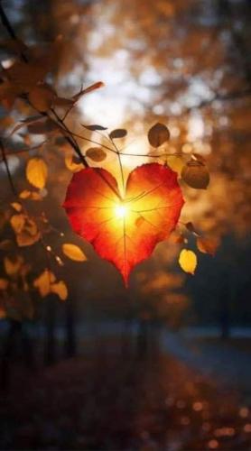 ,    . 419866087_28907701416