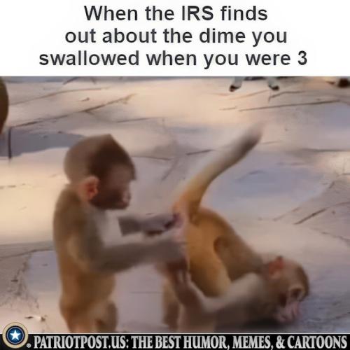 01JQRQ33KVKCPAF2HMGFQVMV50