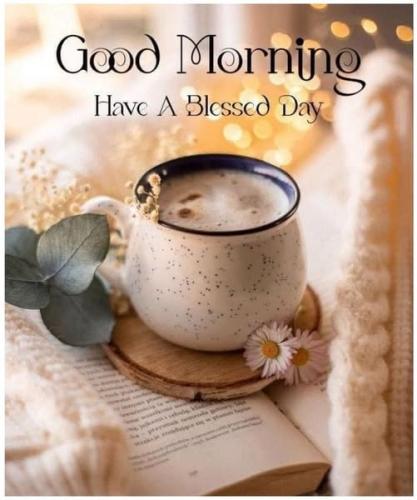 490296943_23902982975992571_5853171992677847298_n