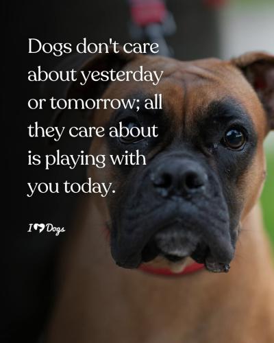 FB_IMG_1744981190226