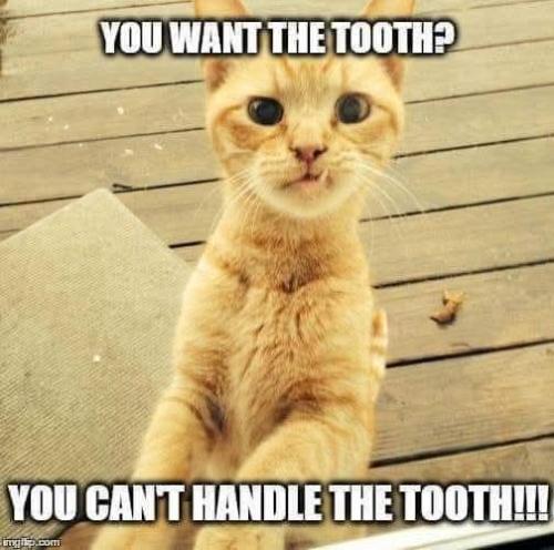 FB_IMG_1744642019511