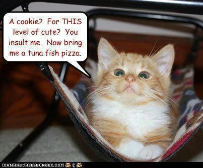 3e980795f46261b90e273e5a58a3e75e