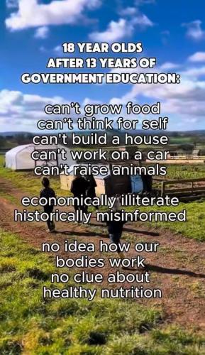 photo_2025-04-19_23-17-39