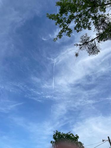 111FB6E6-1D1C-43F8-B701-C0694F6FF8AF