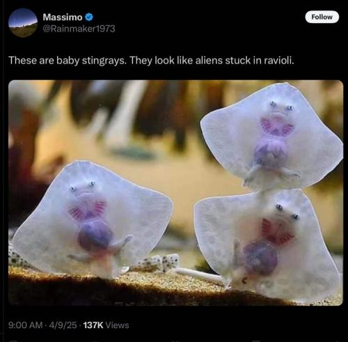 9AC65AE1-5843-4646-8B90-2FD5DAB337DA-8627-00000164886374E7