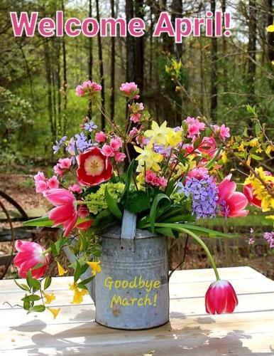 488311545_1054974923331417_6755041743636082998_n