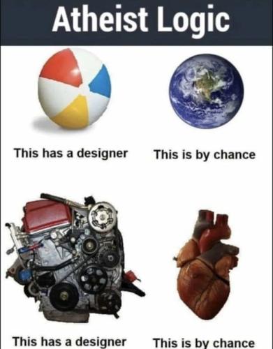 ATHEIST LOGIC IRRIDUCIBLE