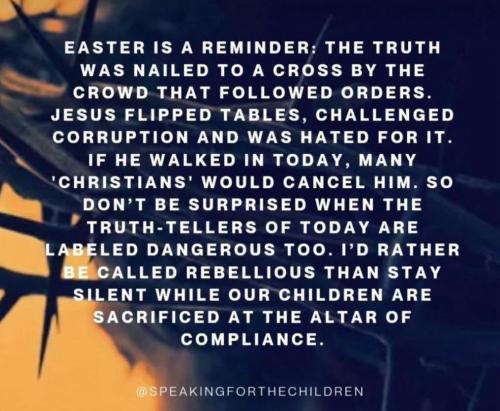 photo_2025-04-23_14-09-53