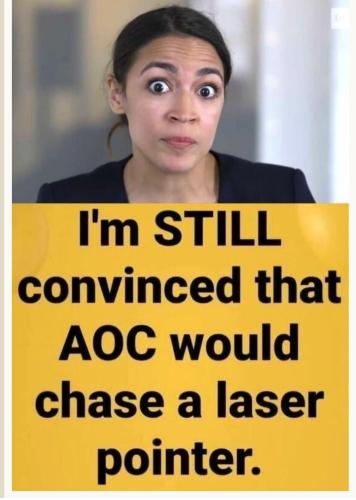 aoc f