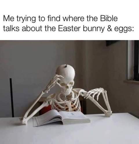 FB_IMG_1555787706562