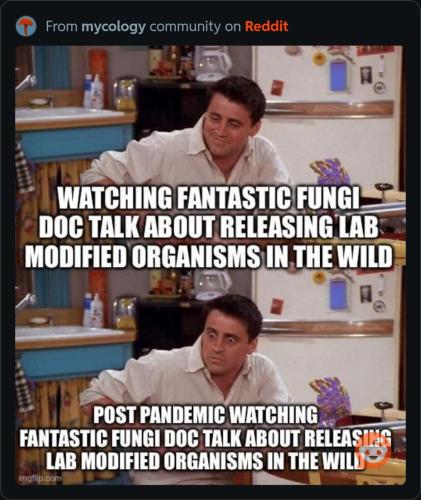 image_48ABC829-25B8-4071-AACD-97B3DF6DD487