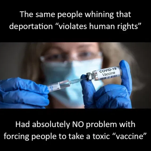 image_2025-04-25_062924100