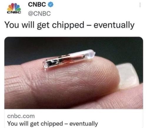 photo_2025-04-18_23-01-41