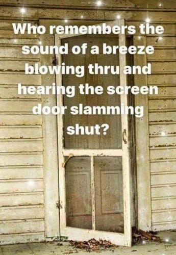 Screenshot_20250425_072942_Gallery