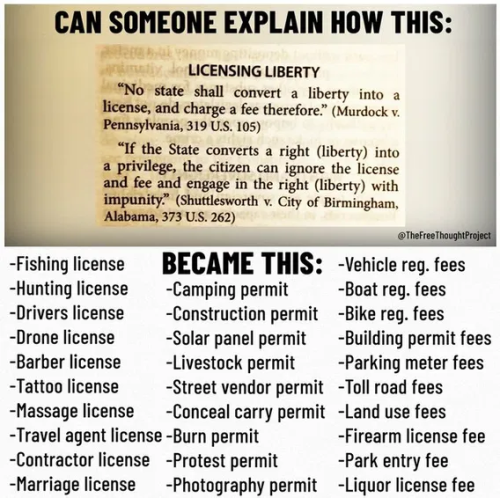 image_2025-04-17_062100745