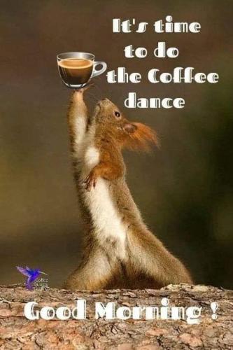 489910686_520108067839073_5542866104553123979_n