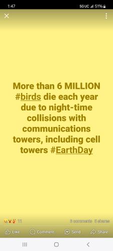 Screenshot_20250422_134700_Facebook