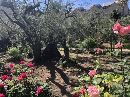 ,                GAkHyqHWIAACt_p