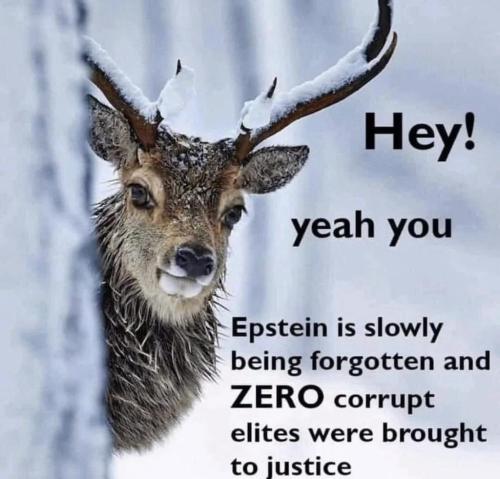 20250402_101154
