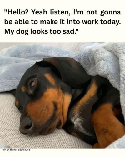 FB_IMG_1745932968653