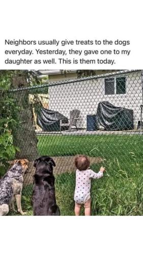 FB_IMG_1745544502349