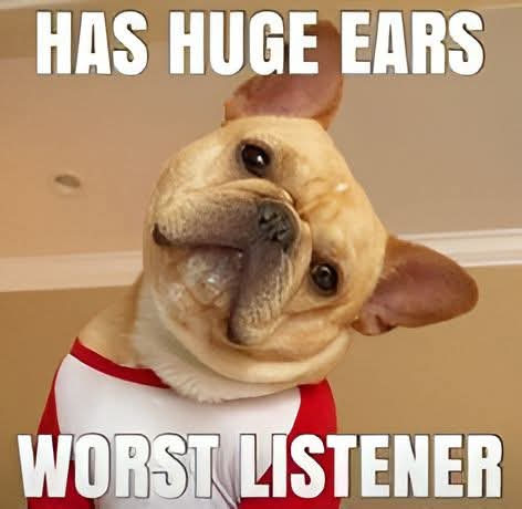 FB_IMG_1744831217369