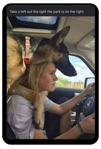 FB_IMG_1744052713587