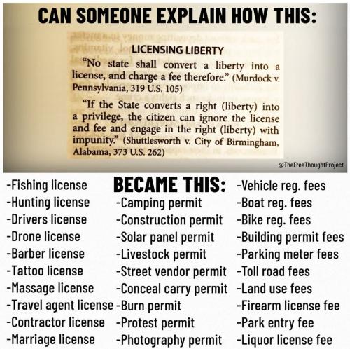 FB_IMG_1745091573083