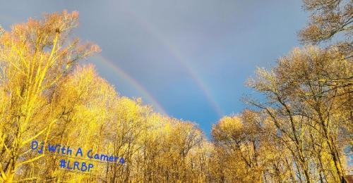 Screenshot_20250427_205134_Gallery