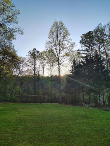 IMG_20250410_075703981_HDR