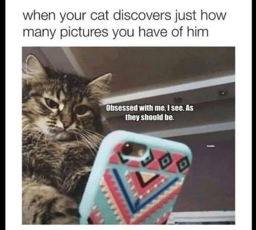 ae96bee415dd3baea44a81895dedf24e