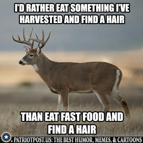 01JRZV1KKW308433FW14QYQ88B