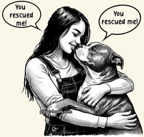 70bb6bff762ee92520b3fcbe9b01a711