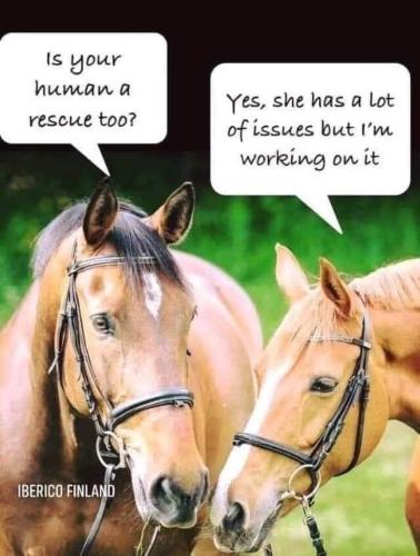 FB_IMG_1745317748656